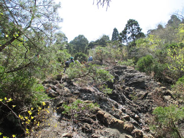 険しい山道を歩きました！